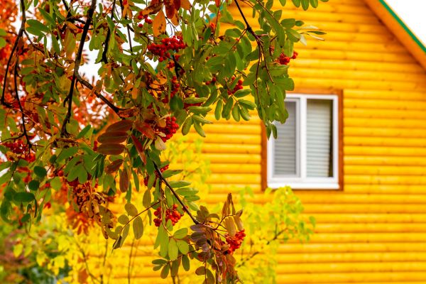 Garden Window Replacement in Ballston Spa
